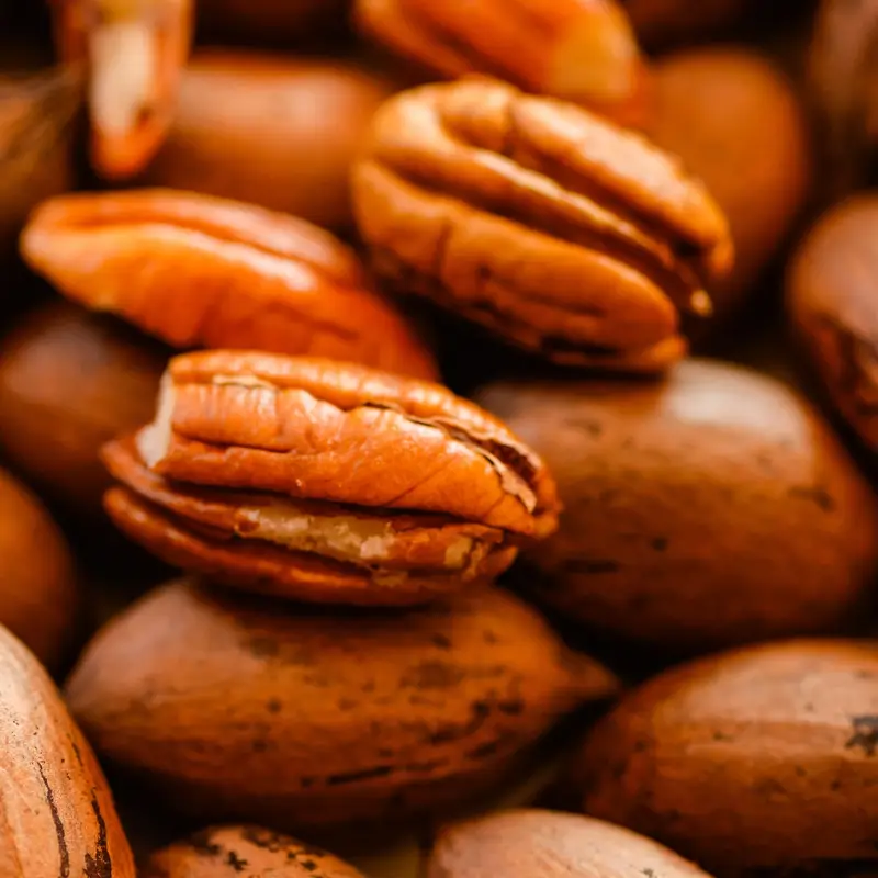 Whole pecans in the shell